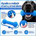 Mimo Dental Toy