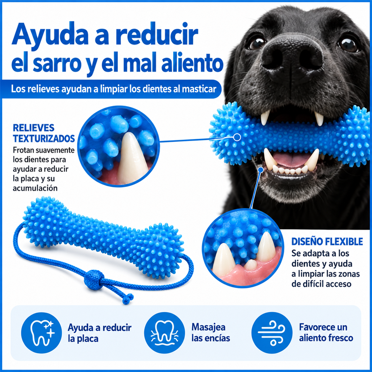 Mimo Dental Toy