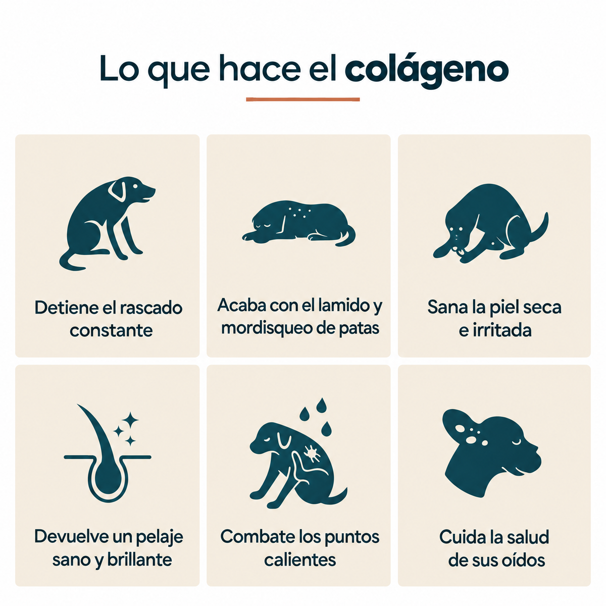 Lo que hace el colágeno: detiene el rascado, acaba con el lamido de patas, sana la piel y devuelve el brillo al pelaje